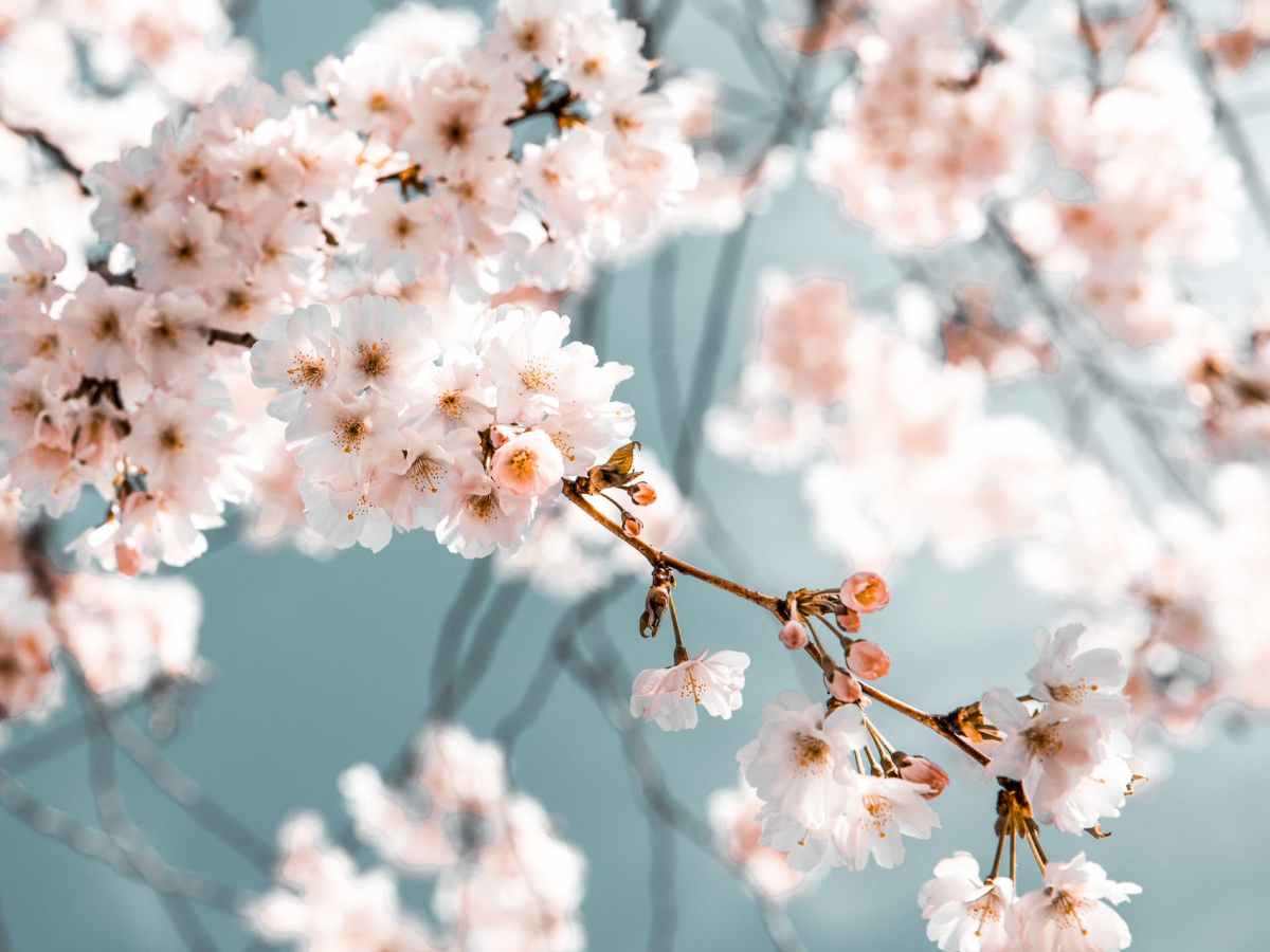 10 Days of Dhul&nbsp;Hijjah