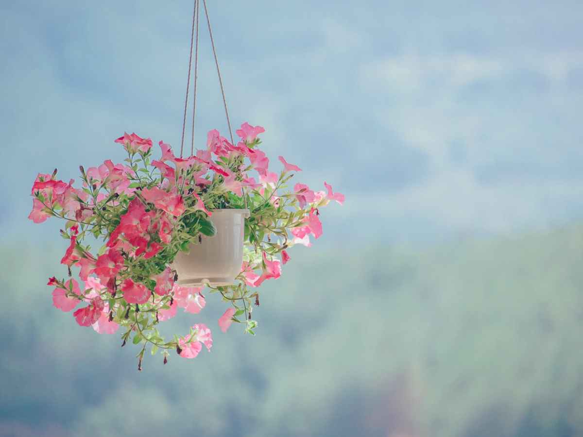 50 ideas to improve life in&nbsp;Germany