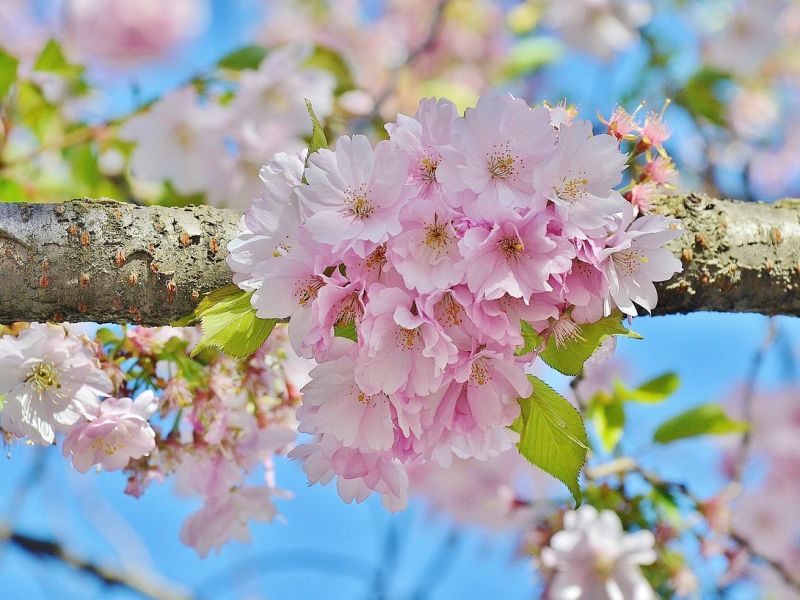 The Evil of&nbsp;Riba