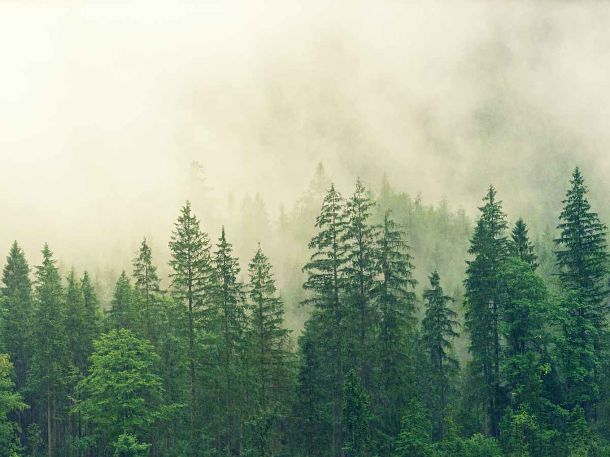 The Myth of “Self&nbsp;made”