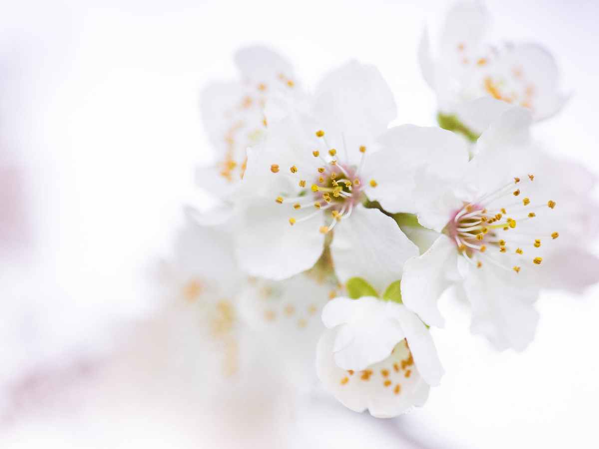 Encourage good forbid&nbsp;evil