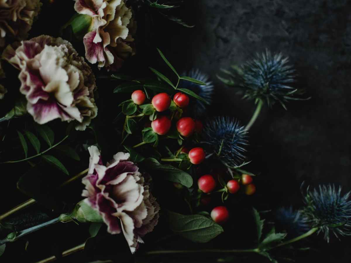 Christmas & its Origins