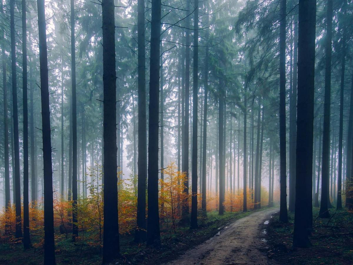 Zionism Evil History&nbsp;Infographics